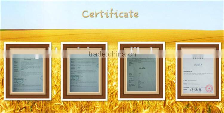 For Gopro Accessories Kit For Xiaoyi Camera Accessories Kit 6 in 1 Adjustable Head Strap+Chest Body Strap