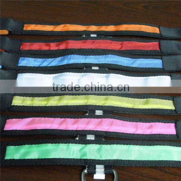 best sale cheap custom wholesale China led dog collar
