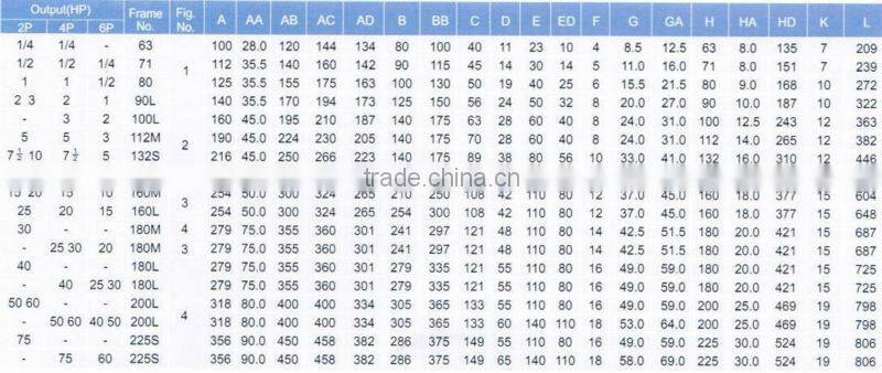 AEEF Three Phase Induction Motor