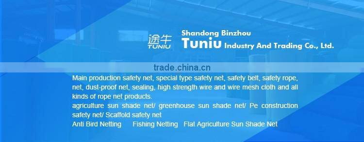 high quality blue safety net fall protection
