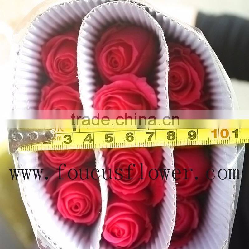 Many Types Best Selling Fresh Cut Flowers Pink Roses Beekeeping Flower From Yunnan, China
