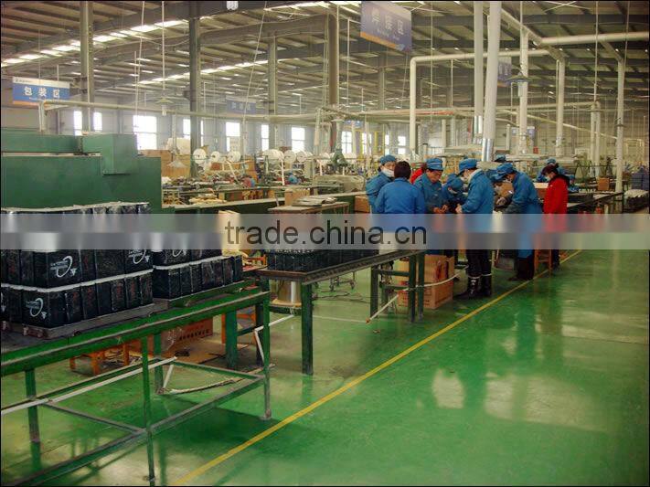 12V150Ah (6-EVFJ-150) EV Colloid Battery