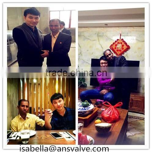 Cast Steel Grooved Check Valve