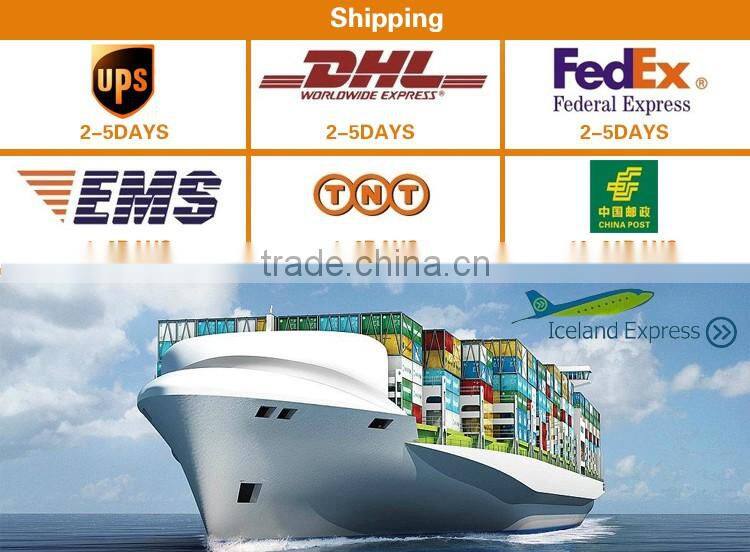 New Arrival Colorful Living waterproof clock wrist watch for men and women