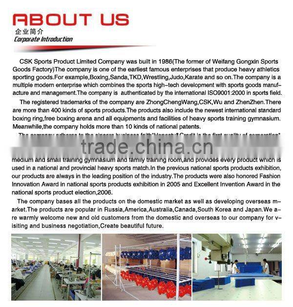 Body shape tumbler punch bag