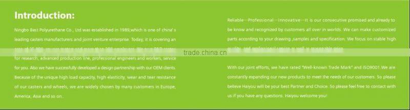 Swivel Caster with PP wheels