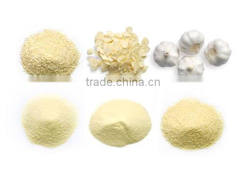 2015 new AD garlic powder