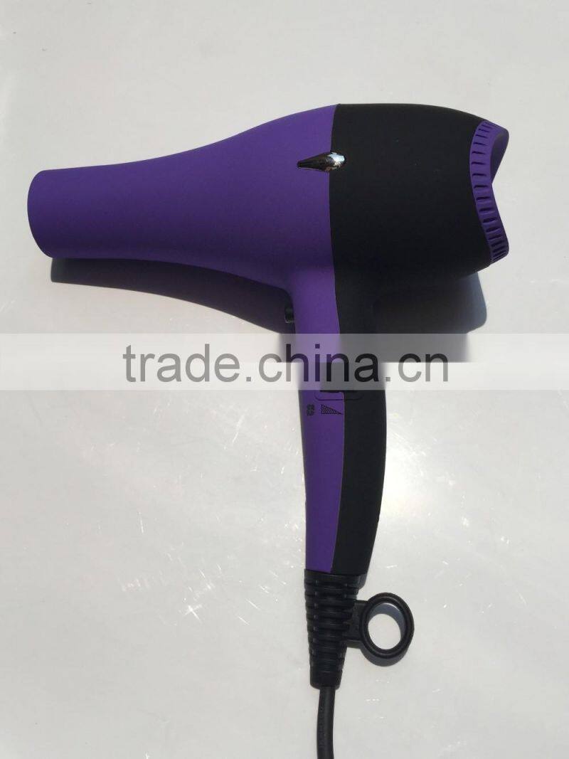 Salon Use Professional Hair Dryer Super Silent With AC Motor