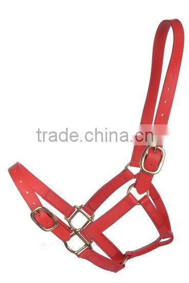 colorful leather horse halter