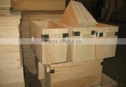 Rising stem AWWA c509 Bevel Gearing and 2" Operating Nut knife gate valve