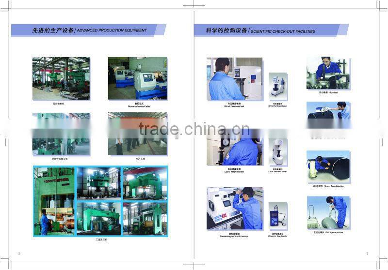 Best Qulity Insulating flange