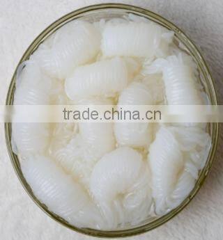 konjac pasta macaroni suppliers in bulk