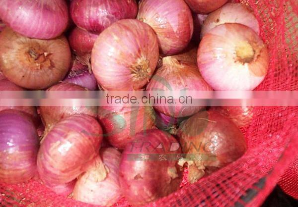 new crop red onion