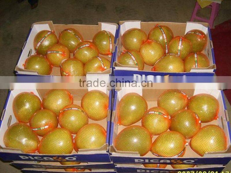 Professional fresh honey pomelo honey russia