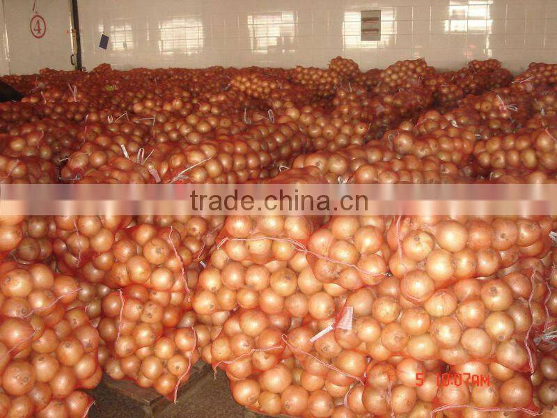 selling fresh yellow onion price(MOQ:1x40'HR)