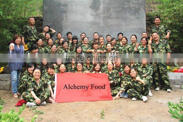 round wood chipper machine price