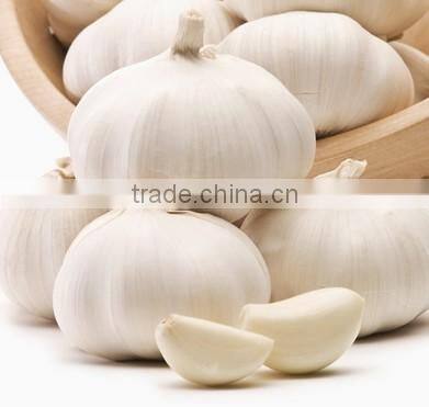 New Style Automatic Electric Normal Garlic Shallot Skin Removing Peeler Peeling Machine