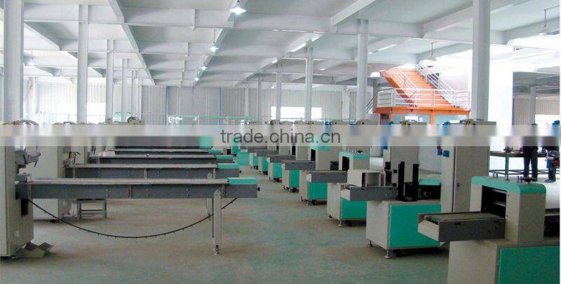 YP190-117 Servo automatic pillowed packing machine