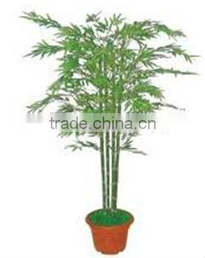 Decorative potted ssisal hemp