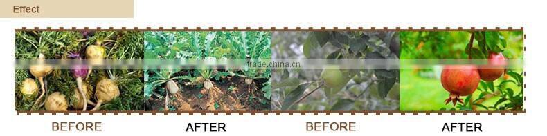 Designed Good Service Organic Additive fertilizer npk