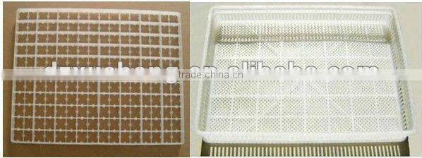 commercial incubator for all kinds of eggs for sale