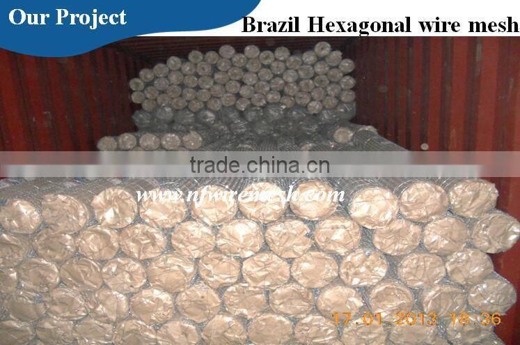 Hexagonal Hole Shape Q195 Galvanized Iron Wire hexagonal wire netting(Guangzhou Factory)