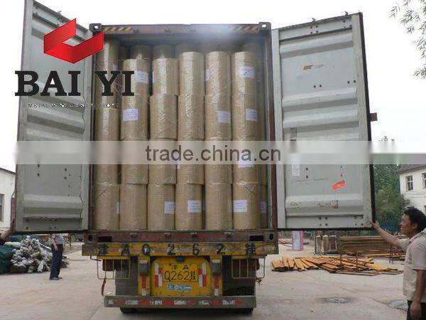 Hot Sale Electro Galvanized Welded Wire Mesh ( manufacturer )