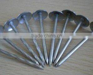 BWG10*2.5" galvanized umbrella head construction iron nails