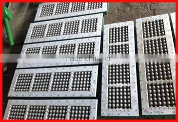 plastic egg tray mould