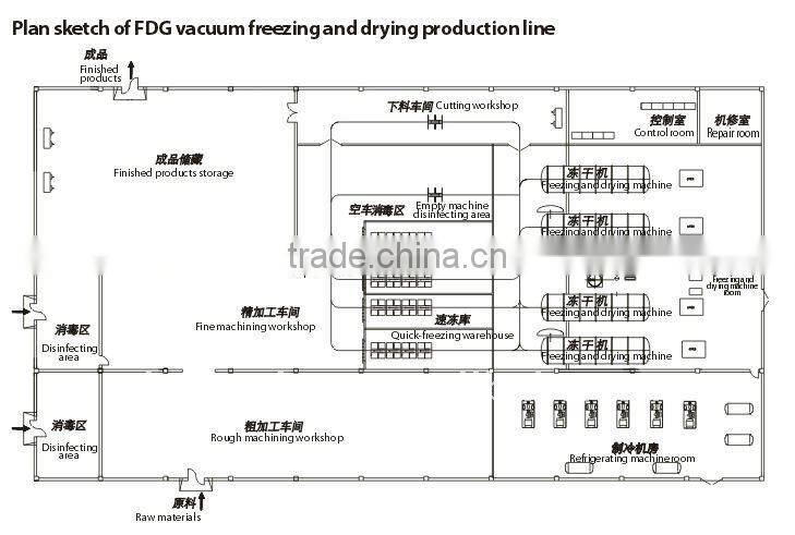 FDG series vacuum freeze dryer for food