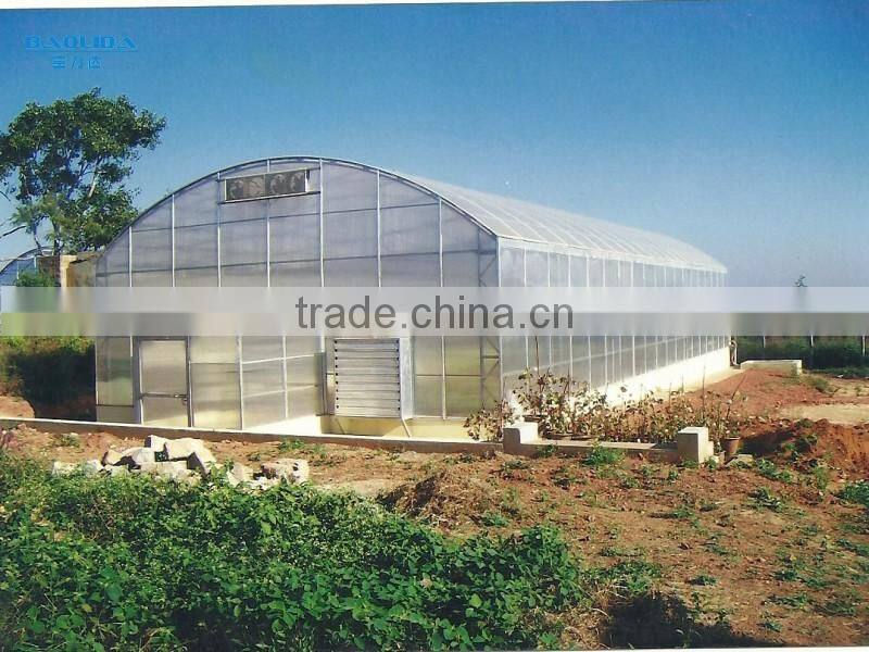 Hot sale poly tunnel greenhouse for sale