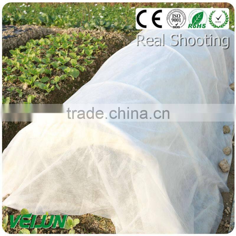 nonwoven fruit cooler bag