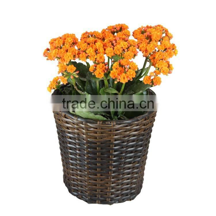 Decor Gardening Planter Classic Round PE Rattan Basket with PVC Liner