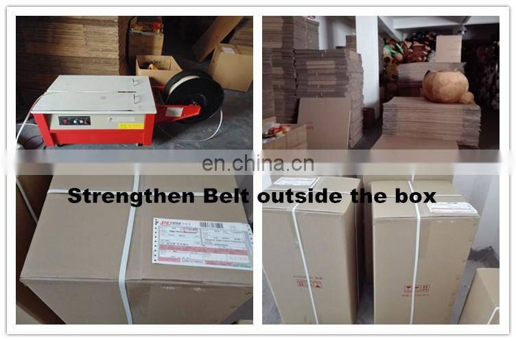 beatuiful mini mouse mascot costume for adults