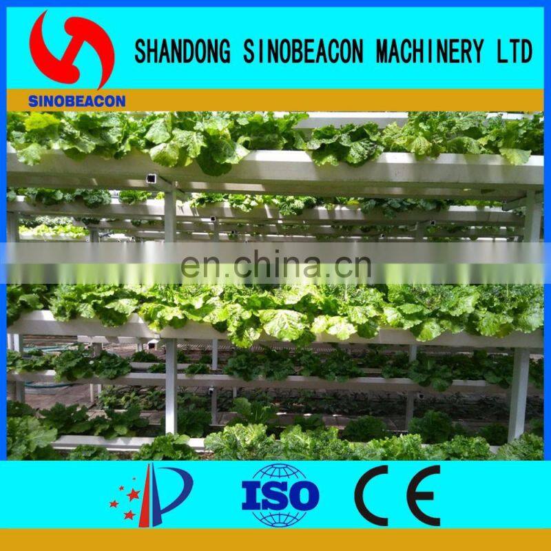 Commercial NFT Hydroponic Growing Systems