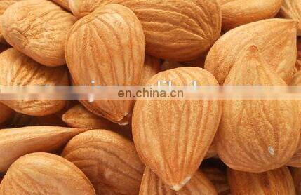 Stainless steel wet peanut bean soybean almond peeling machine