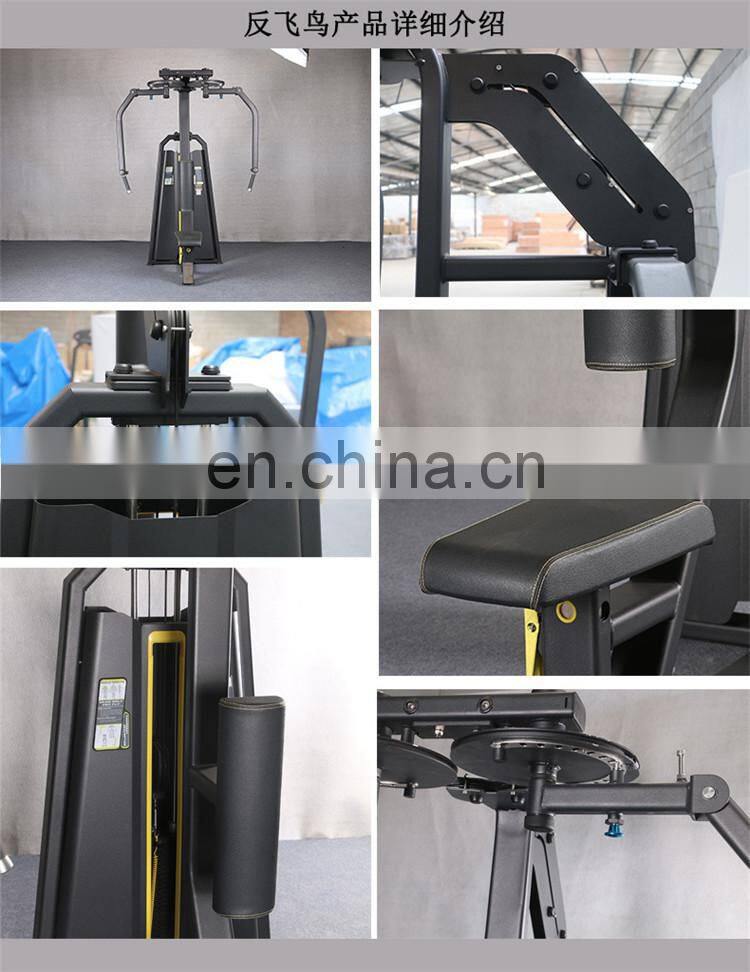 Factory direct selling high-end business rear delt pec fly