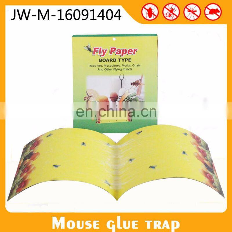 Insecticides For Public Health Sticky Fly Paper Fruit Fly Glue Board