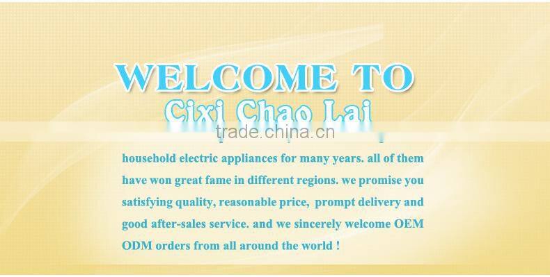 Professional Highest Quality Salon Grade /Personalized Ceramic Plate Hair Straighteners