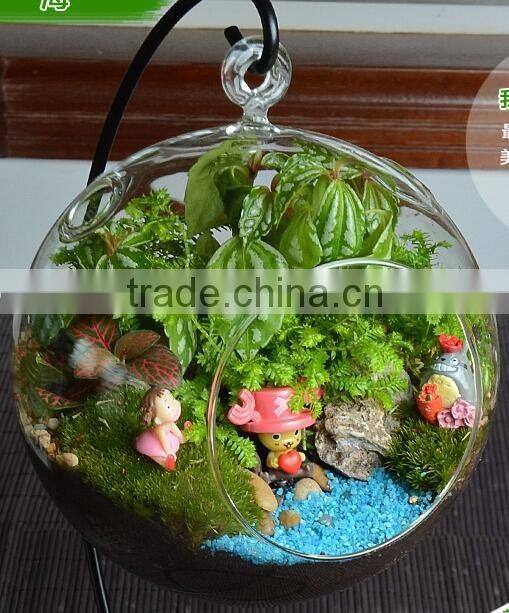 hand blown different types clear glass vase terrarium for home