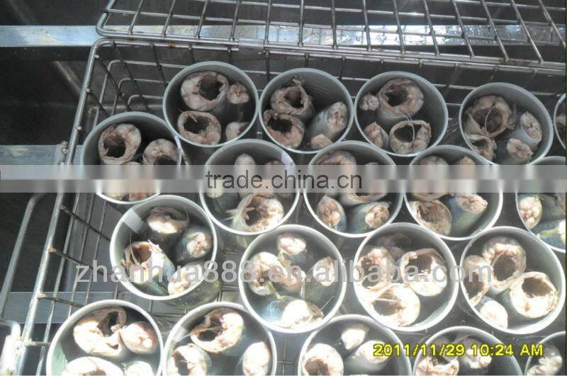 canned mackerel in tomato sauce 425g