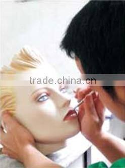 life size dog clothes model