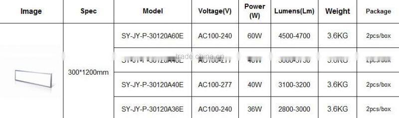 40W 300x1200mm indoor led panel light