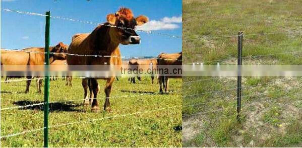 Great Australia standard black steel posts/bituminous painted y post