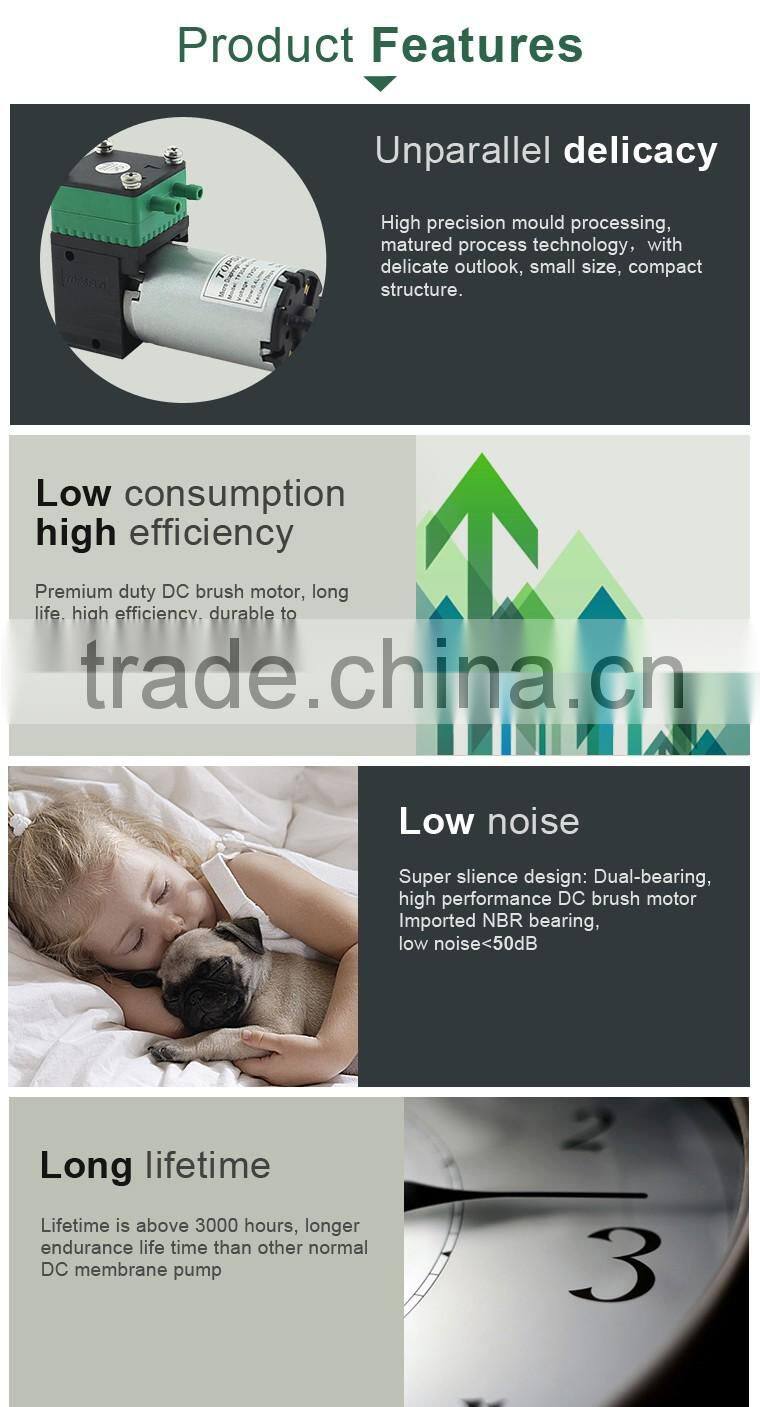 6v 12v 24v dc diaphragm Air Pump for autoclave sterilizer