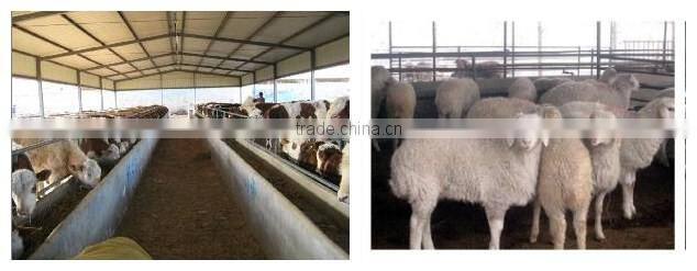 goat slaughter equipment for slaughterhouse project