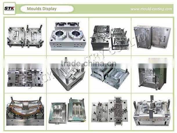 High Progressive Metal Stamping Punching Mold/Die