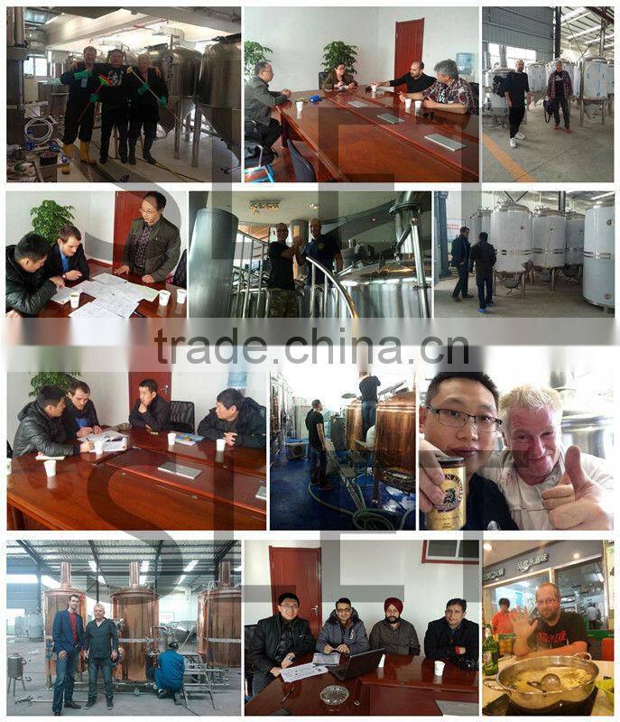 Copper mashing tank small brewery equipment 300L,400L,500L,600L beer brewery equipment