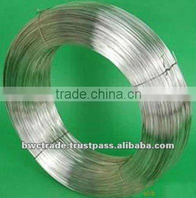 Flat Type Galvanised Stainless Steel SS Wire