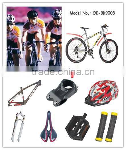 Mountain bike titanium fork bicycle forks road bike fork